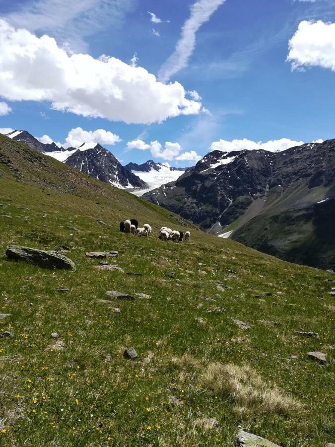 Haus Pechtl Hotel Sankt Leonhard im Pitztal Ngoại thất bức ảnh